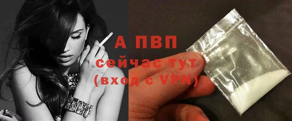 крисы Магас
