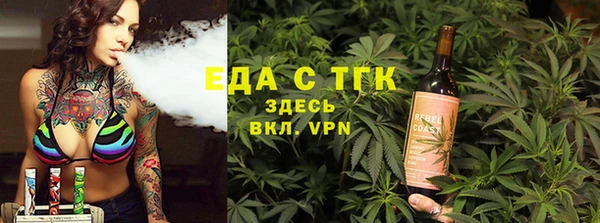 крисы Магас