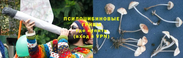 прущая мука Майский