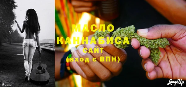 крисы Магас