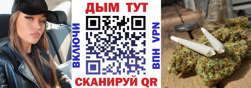 Шишки марихуана VHQ  Купить  Новозыбков 